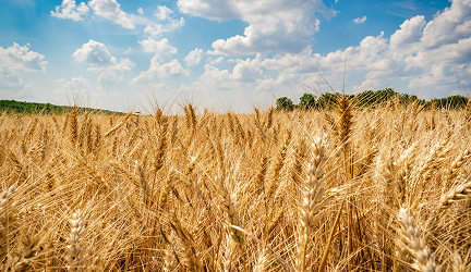 Зображення для новини